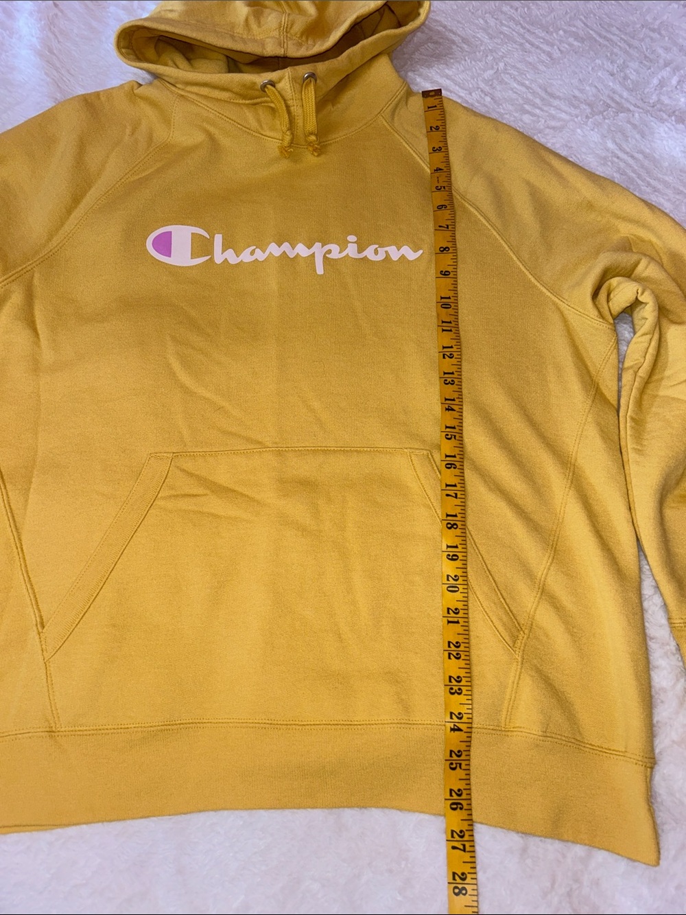 Champion Tan Script Logo Hooded Sweatshirt - Picture 5 of 8